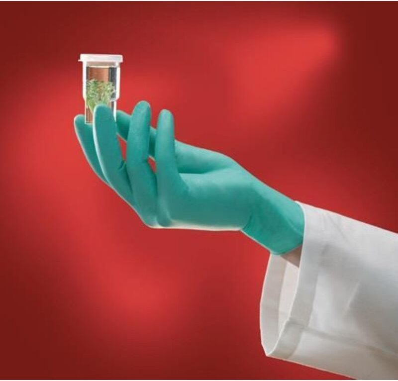 ANSELL 25-101-8,5-9 Einweghandschuhe Microflex NeoTouch® 25-101 Gr.8,5-9 hell