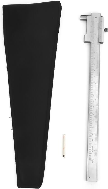 Eosnow Edelstahl Parallelmarkierungslehre Messschieber Messwerkzeug 0-200MM0-200MM