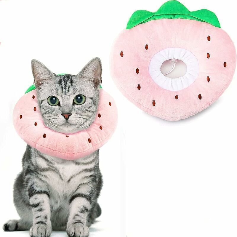 Katzen- und Hundehalsbänder, verstellbares Komfort-Schutzhalsband, postoperativer Bissschutz (Erdbeere, S), Sunny