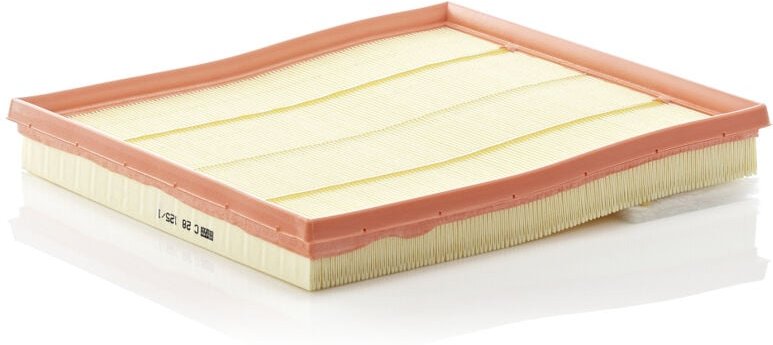 Luftfilter C281251 Mann