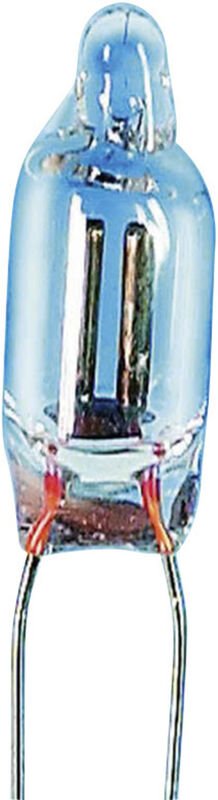 Barthelme - 00081013 Glimmlampe 115 v, 230 v 0.25 w Drahtenden Klar 1 St.