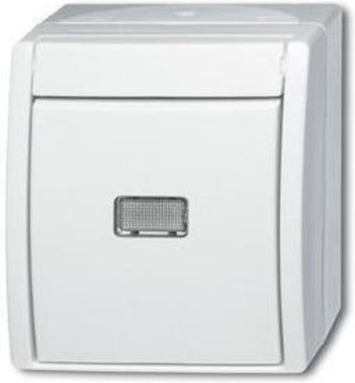 Busch-Jaeger Taster aws Wechsler 2621 W-54-206