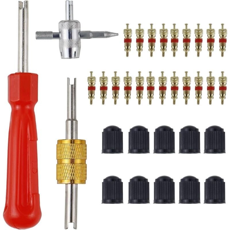 33-teiliges Werkzeugset zum Entfernen von Autoreifenventilen, Reifenventil-Reparaturset, Doppel- und Einzelkopf-Ventilke...