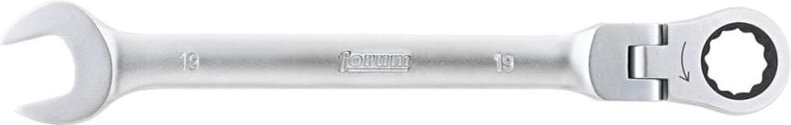 Maulschlüssel mit Ringratsche 19 mm, Gelenkkopf - Forum