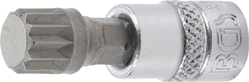 Bit-Einsatz Antrieb Innenvierkant 6,3 mm (1/4') Innenvielzahn (für xzn) M10