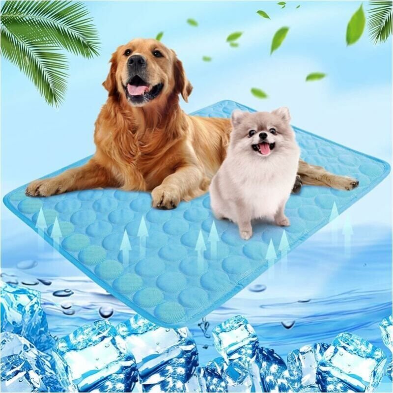 Kühlmatte für Hunde und Katzen, 55 x 70 cm – Für den Sommer – Selbstkühlend – Waschbar – Wasserdichtes Kühlkissen – Ruts...