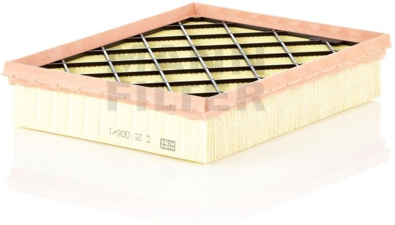 Luftfilter C250081 Mann