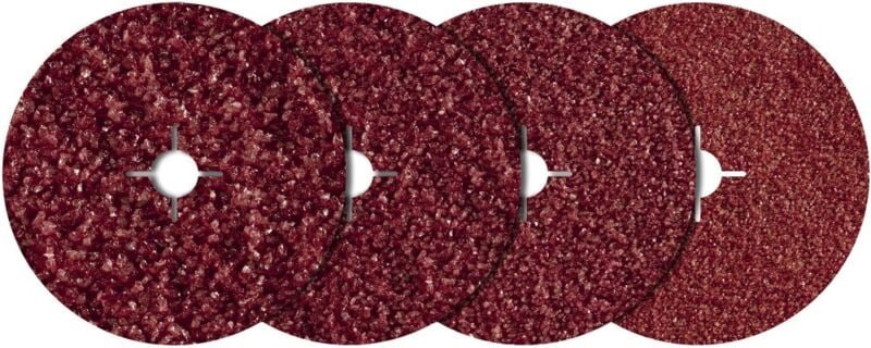 Fiberschleifscheibe sortiert, Ø125mm 20 Stück - 2455000 - Wolfcraft