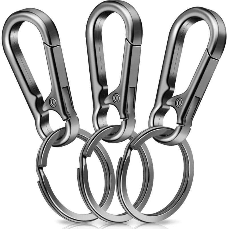 Set mit 3 Karabiner-Schlüsselanhängern, Karabiner, kleiner Metallkarabiner, Schlüsselanhänger mit Karabiner zur Befestig...