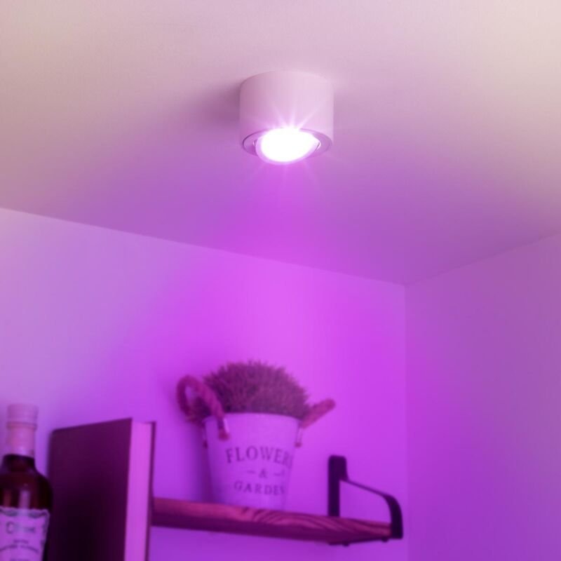 Thumbnail - Flacher Aufbaustrahler rund schwenkbar Deckenleuchte - Farbe: weiß - LED Leuchtmittel: 5W RGB+CCT 230V dimmbar 60°