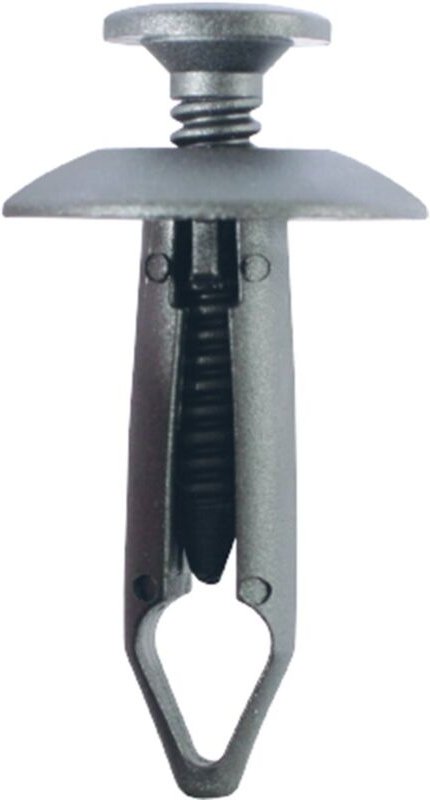 Push-Type-Clip für Ford,10er Pack