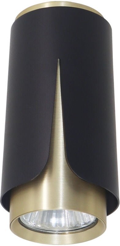 BLUME SCHWARZ GOLD DOWNLIGHT 1xGU10