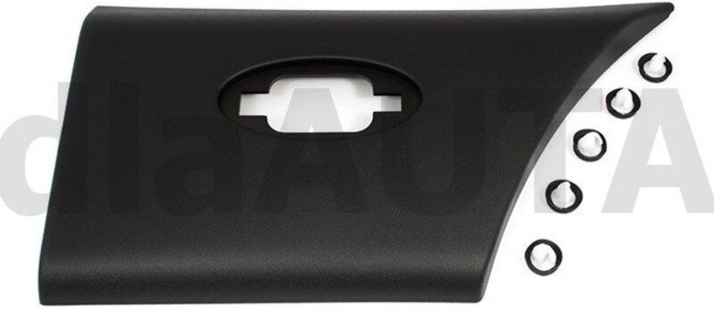 Renault Master III 2010 - Seitenleiste HINTER dem rechten Hinterrad