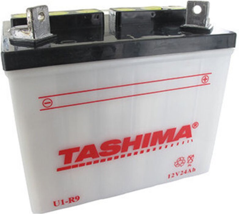 Blei-Batterie Tashima für Rasentraktor 12V, 24A. L: 195, B: 130, H: 185 mm, + rechts. (ohne Säure geliefert). (u19) - Ba...
