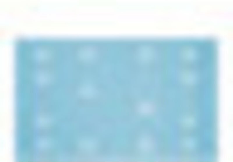 Schleifmittel Granat 80x133 P80 GR/50 - 497119 - Festool