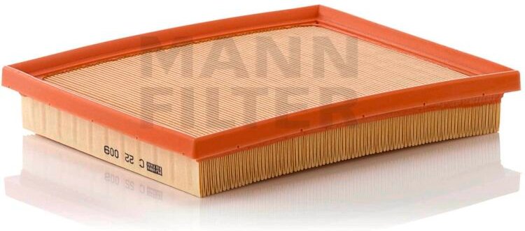 Luftfilter C22009 Mann