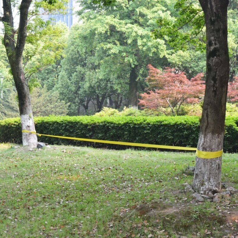 Slackline 15 m x 50 mm 150 kg Gelb Vidaxl