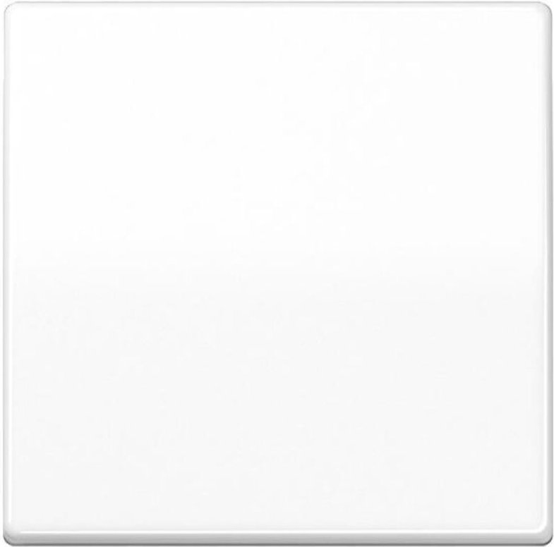 Jung Wippe aws für Schalter/Taster AS 591 BF WW