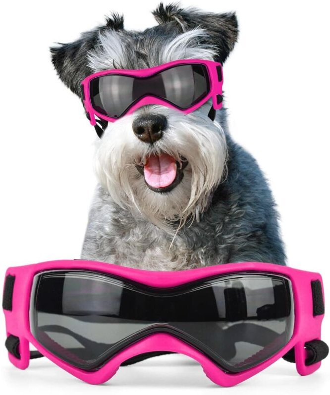 Sollbry - Sonnenbrille für mittelgroße Hunde, UV-Schutz, Mops-Hundebrille für kleine bis mittelgroße Hunde, winddicht, b...