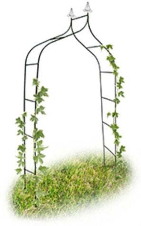 Curved metal rose arch with pointed top
