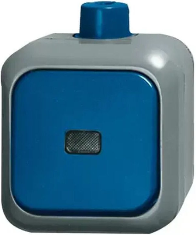 Busch-Jaeger Kontrollwechselschalter AP 2601/6 SKWDI