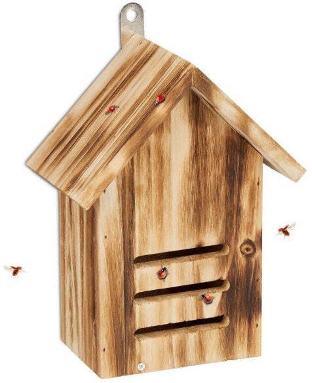 Marienkaferhaus aus geflammter fichte