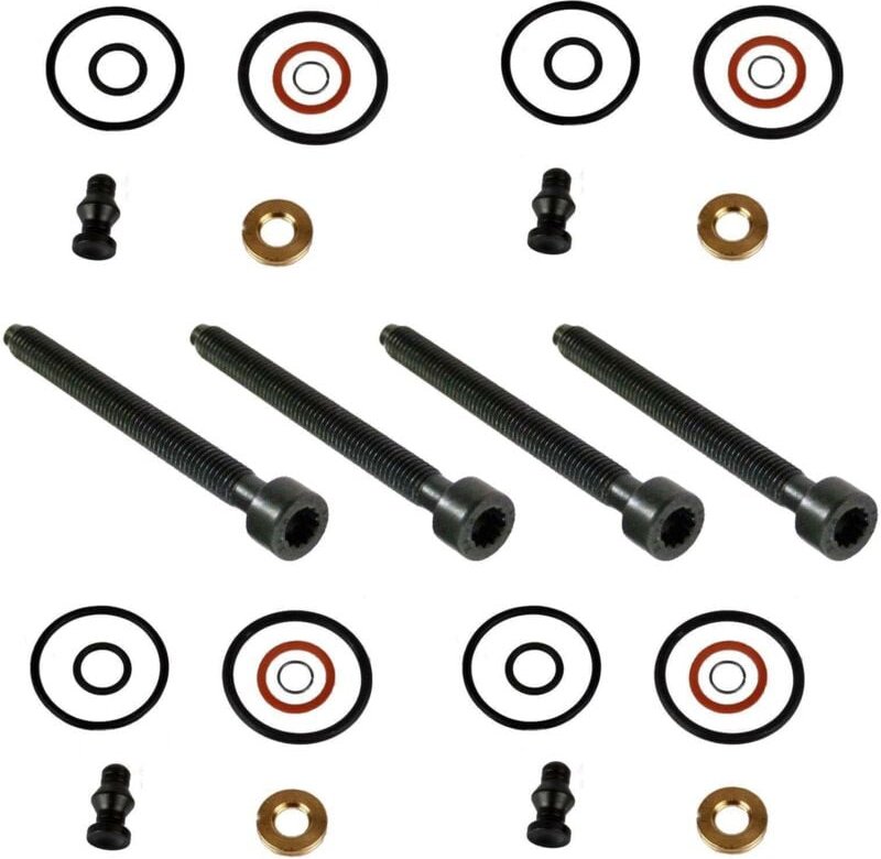 Linghhang - 4x Pumpe Düse Dichtungssatz + Expansionsschraube Reparatursatz Spezialanfertigung für vw 1.9+2.0 TDi