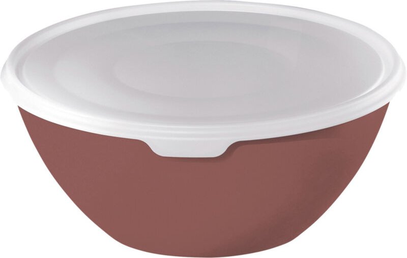 Rotho - Schüssel mit Deckel Caruba, 3 l iron rot, Frischhaltedose Schale