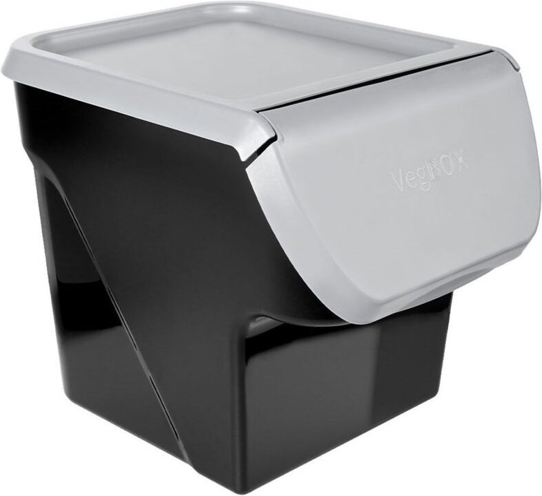 Practical container for fruit and vegetables with flap lid