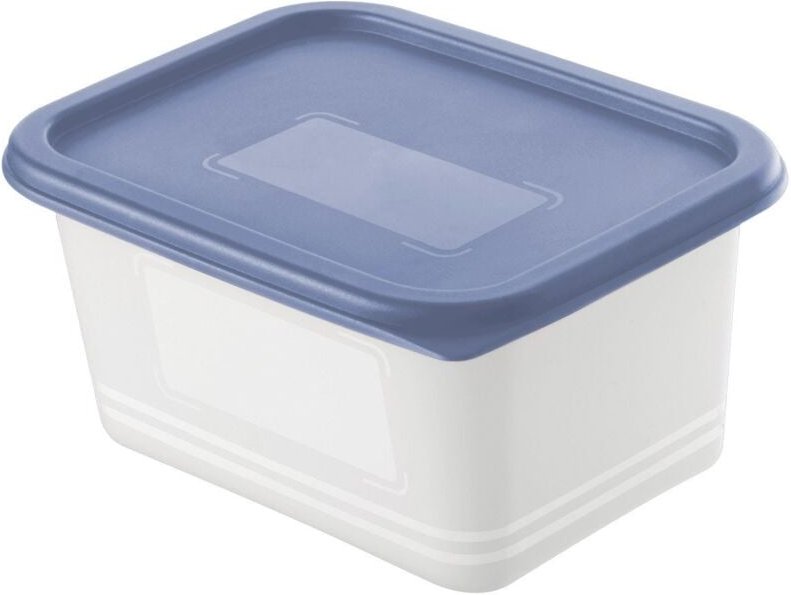 Rotho - Gefrierdosen-Set Domino 4 x 0,75 l blau Frischhaltedose Kühlschrankdose Vorratsdose