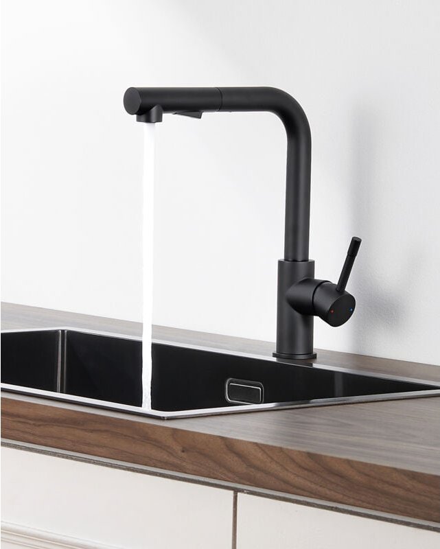 Anycee Max Küchenarmatur mit ausziehbarer Brause, 360° drehbare Spültischarmatur, Schwarz