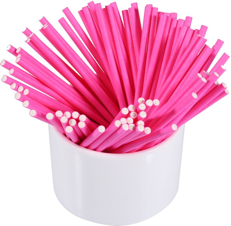 Eujgoov 100 Stück Schokoladenriegel-Sticks, Cake-Pop-Sticks, 10 cm, für die DIY-Herstellung von süßen Schokoladenbonbons...
