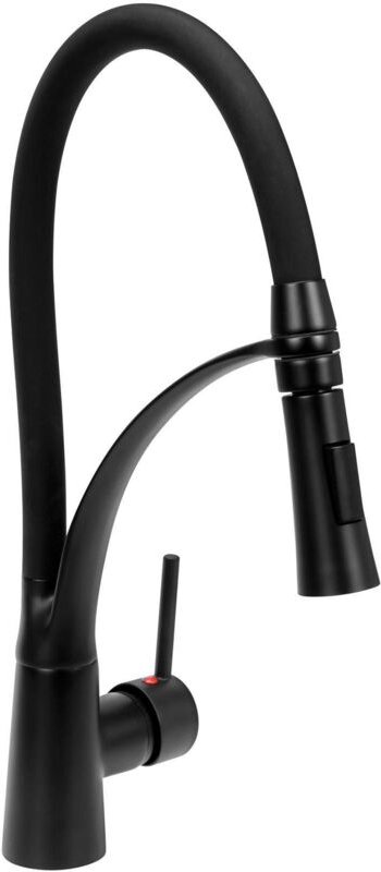 FALA Profi Einhebel-Küchenarmatur flexibel schwarz 75884