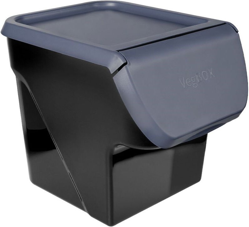 Plastic container with opening lid for fruit and vegetables