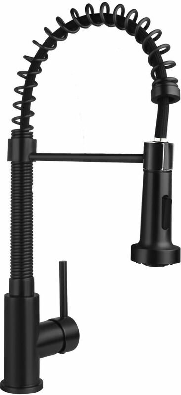 Küchenarmatur mit schwenkbarem Sprühkopf Schwarz matt - Aloni