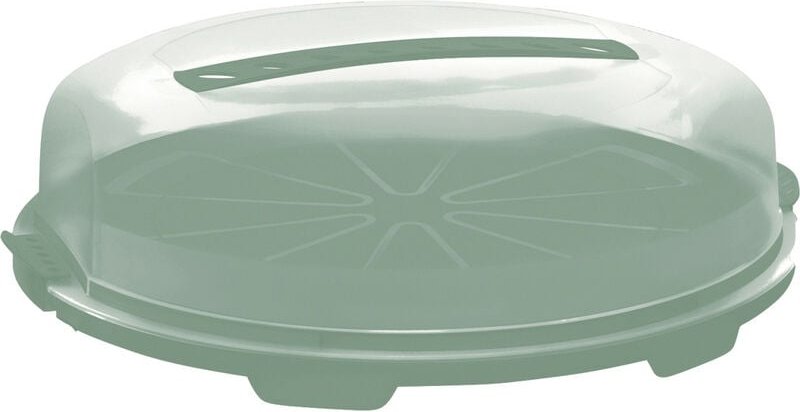 Rotho Tortenglocke Fresh flach grün, Kuchenbehälter, Kuchenbox Tortenbox