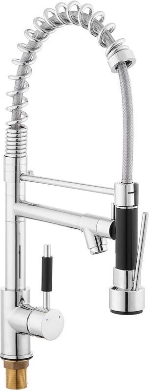 Swiss Aqua Technologies - Spültischmischer mit Schwenkarm, 2-Strahl, verchromt (BSD284)