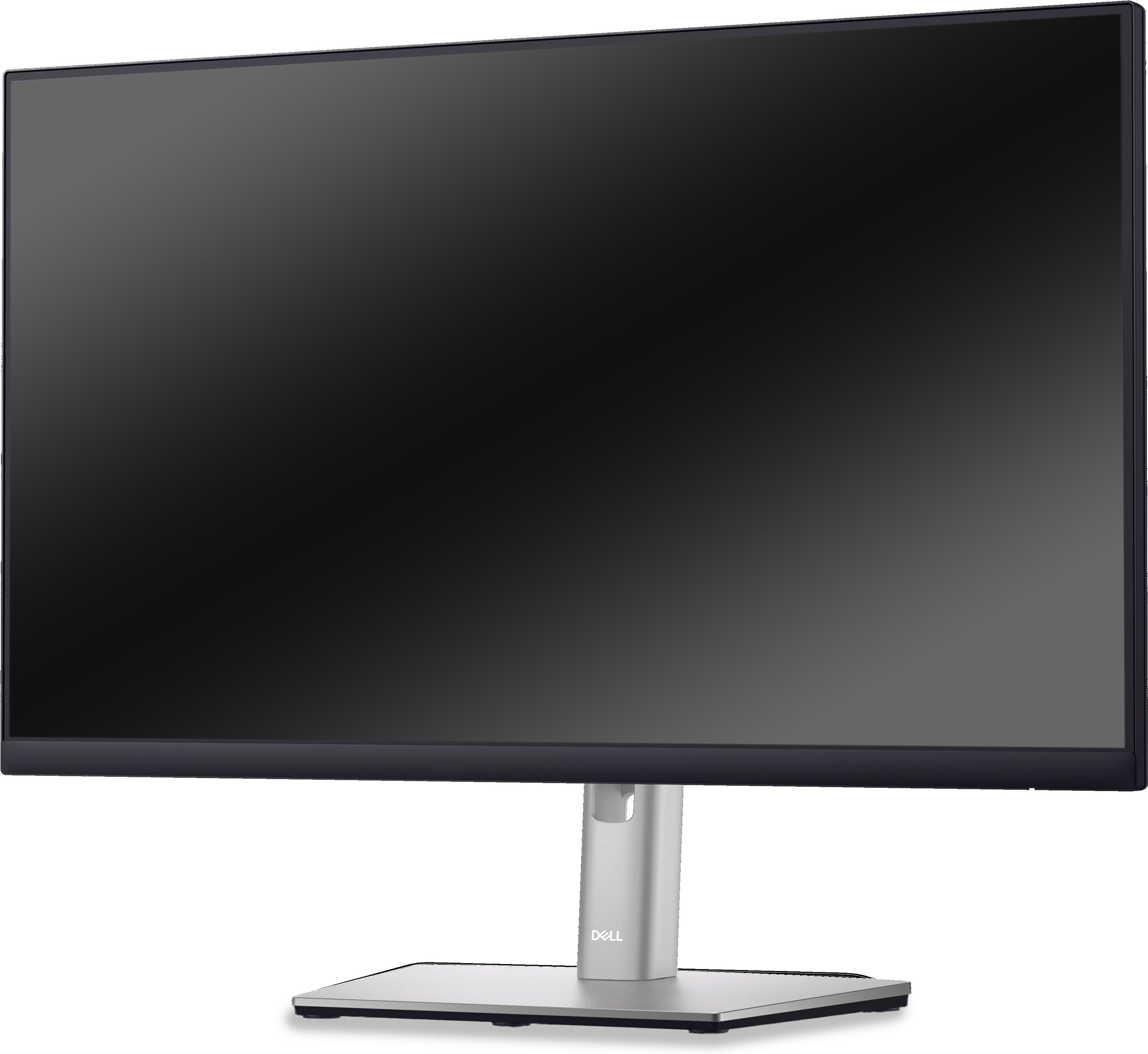 Dell Professional P2422HE - 1920 x 1080 - FHDGut