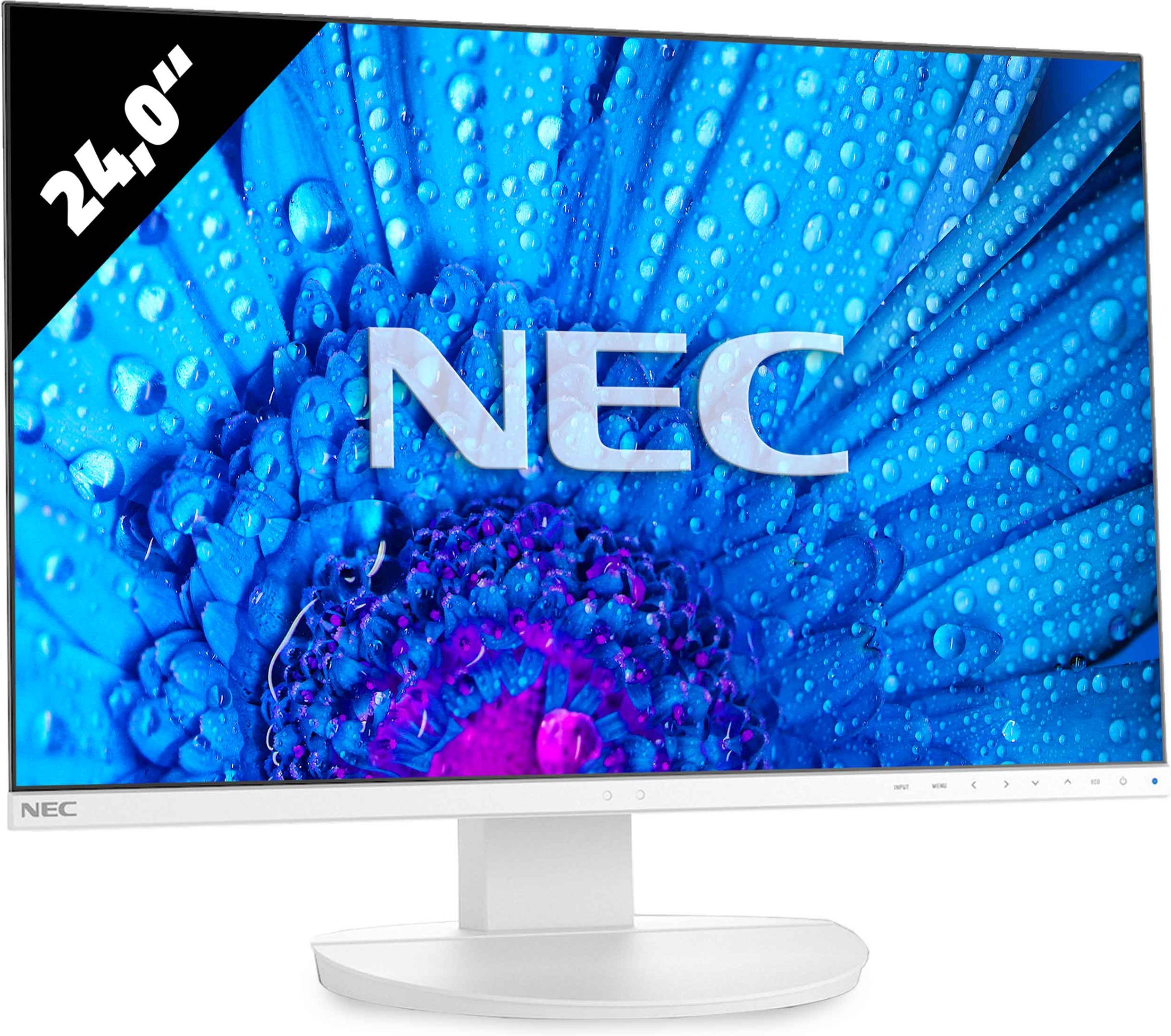 NEC MultiSync EA242WU - 1920 x 1200 - WUXGAGut