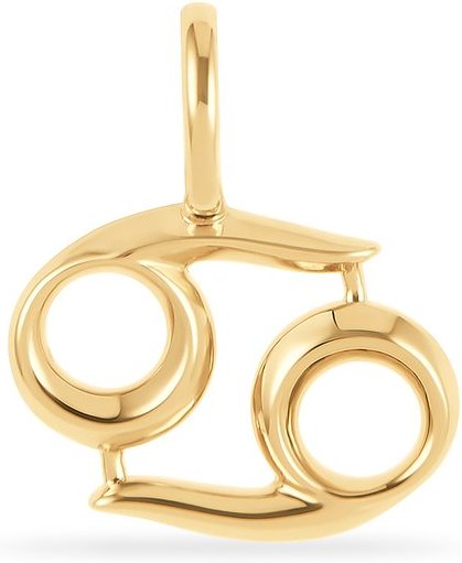 FAVS Anhänger 88572327