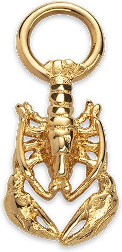 Paul Hewitt Charm PH-JE-0438