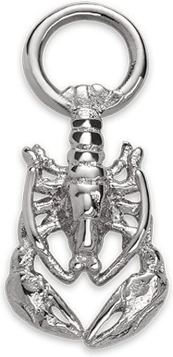 Paul Hewitt Charm PH-JE-0440