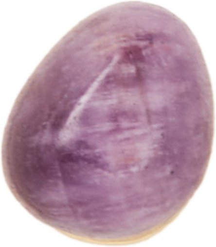 PdPaola Piercingschmuck Dolphin PG01-349-U 925er Silber