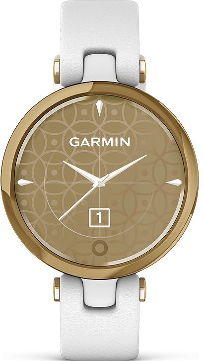 Garmin Smartwatch Lily 010-02384-B3