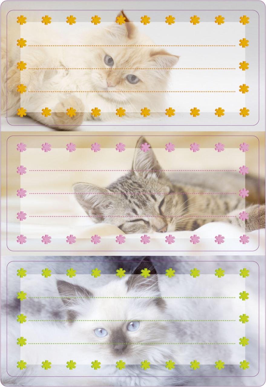 HERMA Schuletiketten Katzen