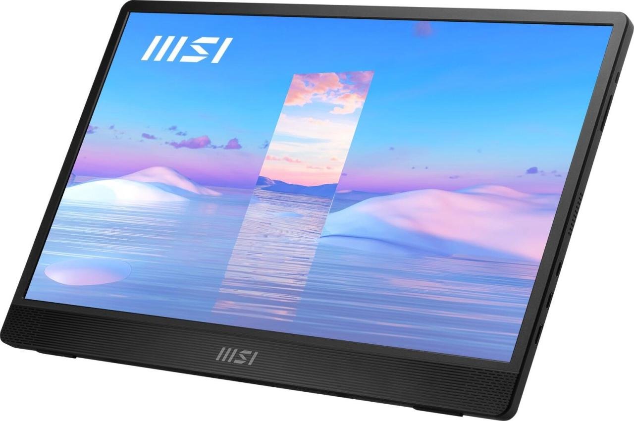 MSI PRO MP161DE portabler LED-Monitor 39,6cm (15,6 Zoll)