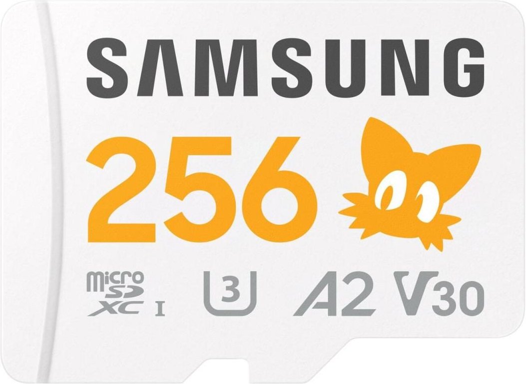 Samsung Sonic MicroSD Speicherkarte 256GB
