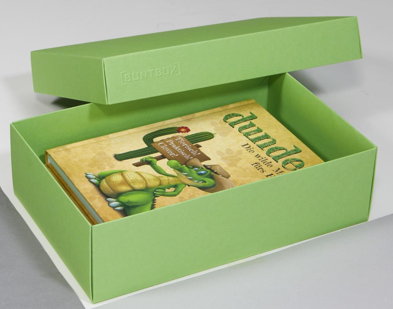 BUNTBOX Geschenkboxen L 3,6 l - 26,6 x 17,2 x 7,8 cm grün