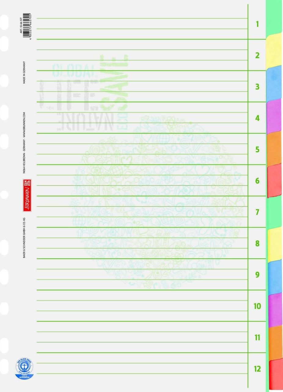 BRUNNEN Ordnerregister Vollformat blanko DIN A4
