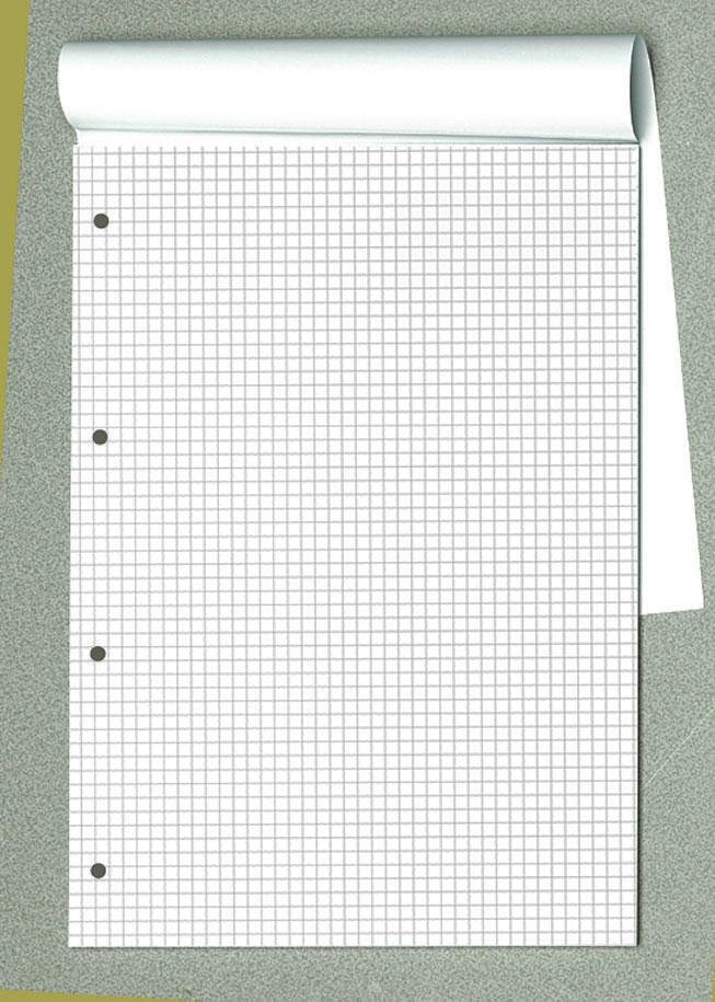Briefblöcke DIN A4 kariert